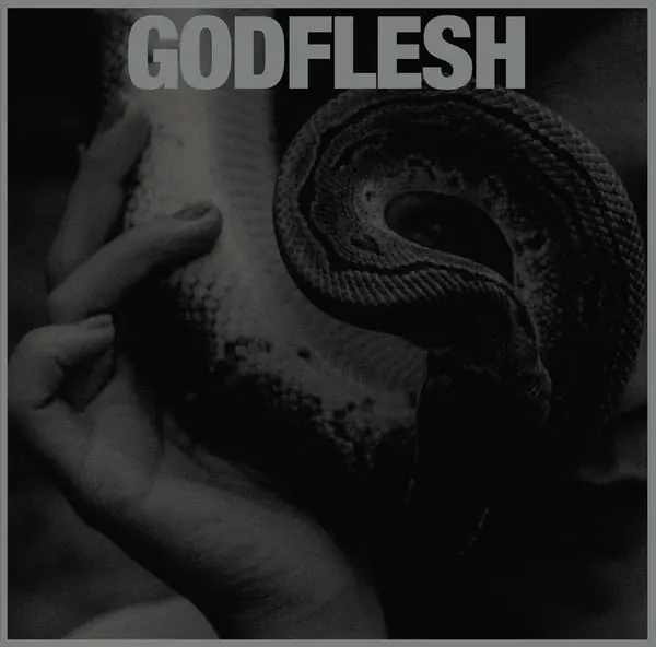 Editor’s Pick Godflesh - Purge (LP, silver vinyl)