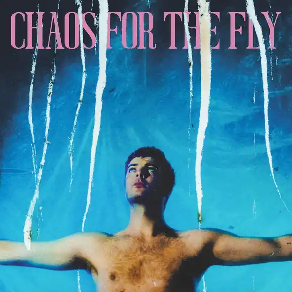 Free Returns Grian Chatten - Chaos For The Fly (LP, white vinyl)