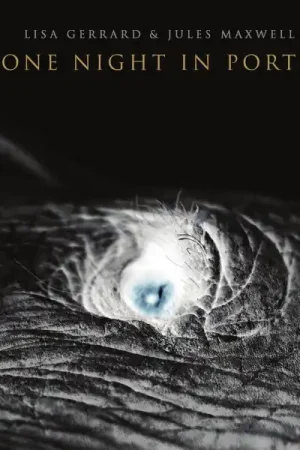 Bargain Lisa Gerrard (Dead Can Dance) & Jules Maxwell - One Night In Porto (LP, green)