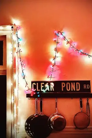 Cheap Kristin Hersh - Clear Pond Road (LP, clear vinyl)