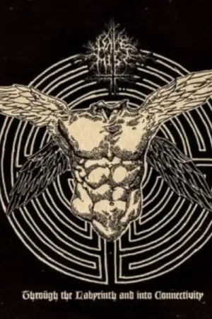Professional Grade Pale Mist - Through the Labyrinth and into Connectivity (CD)