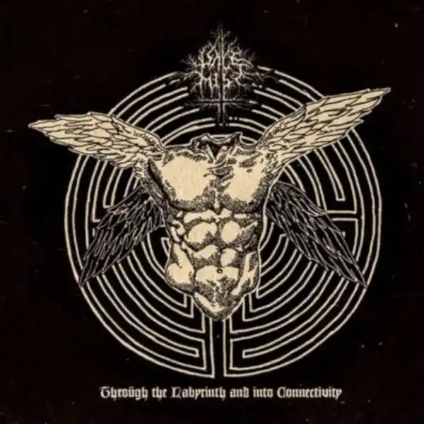 Professional Grade Pale Mist - Through the Labyrinth and into Connectivity (CD)