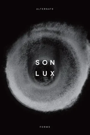 Bargain SALE: Son Lux - Alternate Forms (LP, white vinyl) was £24.99