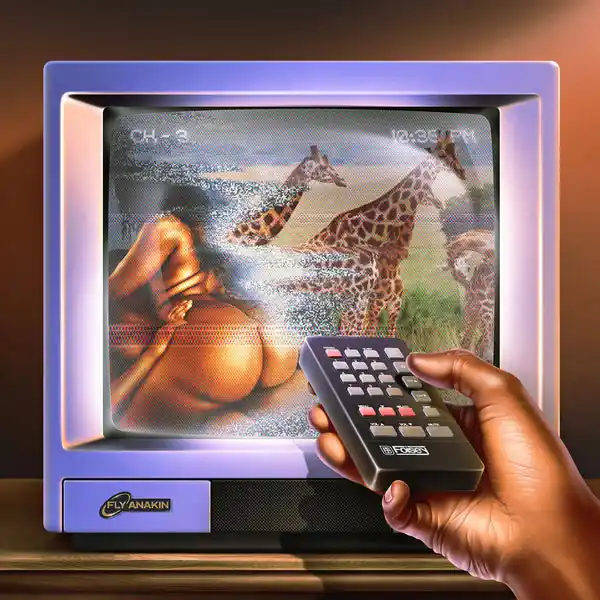 Fly Anakin - Skinemaxxx (LP) Money Back Guarantee