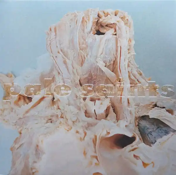 Fresh Stock SALE: Pale Saints - In Ribbons (2xLP, 30th ann. re:masters, clear vinyl) was £43.99