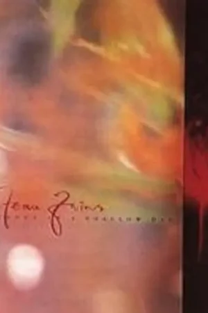 Don’t Miss Out Cocteau Twins - Tiny Dynamine/Echoes In A Shallow Bay (LP)