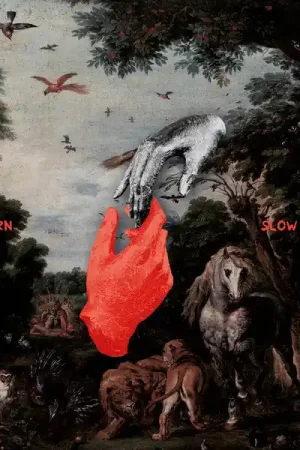 SALE: Chris Liebing - Burn Slow (2xLP) was £17.99 Fresh Stock
