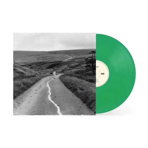 Wholesale Jordan Rakei - The Loop (2xLP, green vinyl)