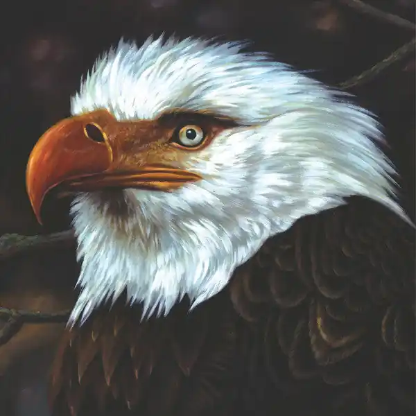 Mogwai - The Hawk Is Howling (2xLP, white) Last Chance