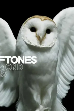 Deftones - Diamond Eyes (CD) Top Rated