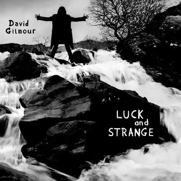 Hot Picks David Gilmour - Luck And Strange (LP, opaque silver vinyl)