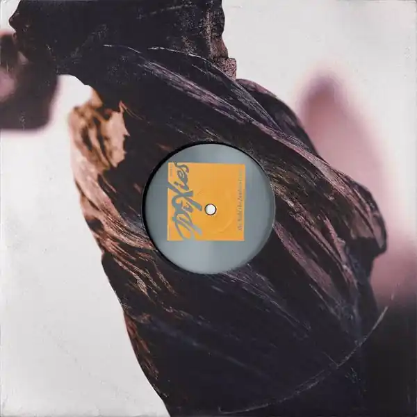 Money Back Guarantee Pixies - The Night The Zombies Came (LP, crystal clear and smoky red vinyl)