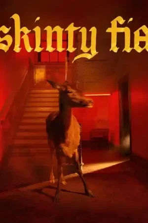 Fontaines D.C. - Skinty Fia (LP, red vinyl) Top Rated