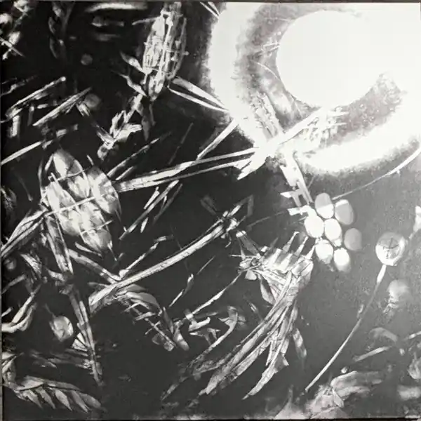 The Bug - Machine (2xLP, Red/Black Quad Splatter) Popular