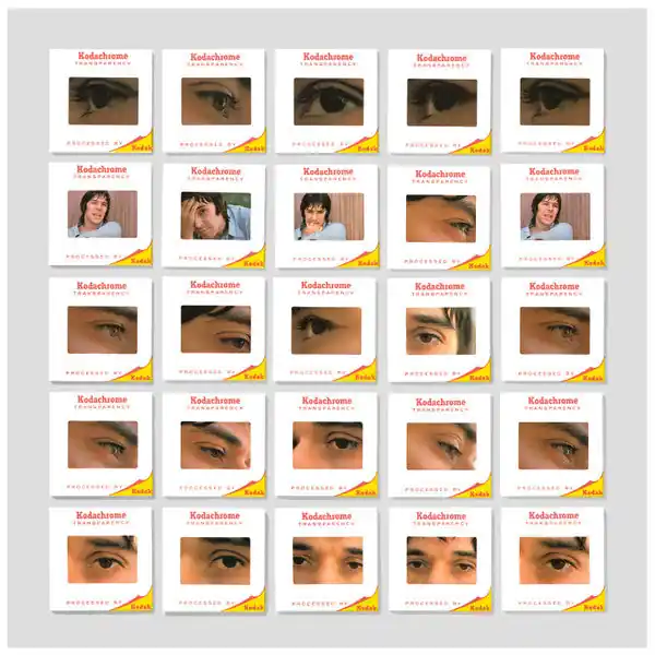 Fast Shipping John Cale - The Academy In Peril (LP, HD Download)