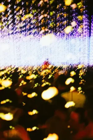 Professional Grade Four Tet - Live At Alexandra Palace London, 24th May 2023 (2xCD)