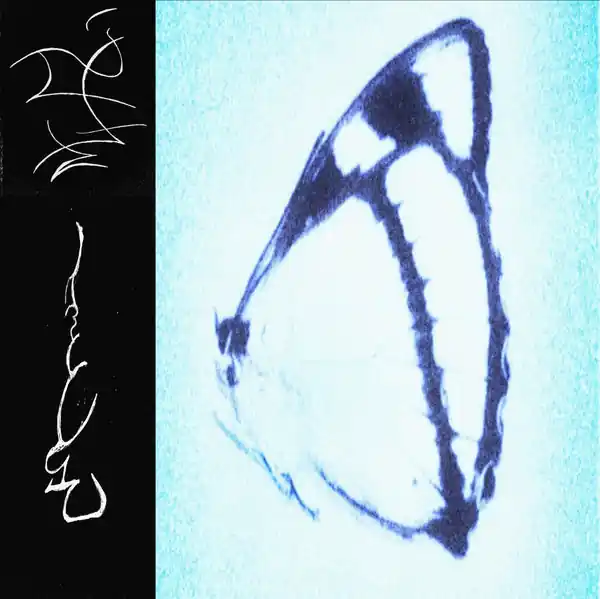One Day Deal Trhä - inagape (LP, smoky transparent dark turquoise vinyl)