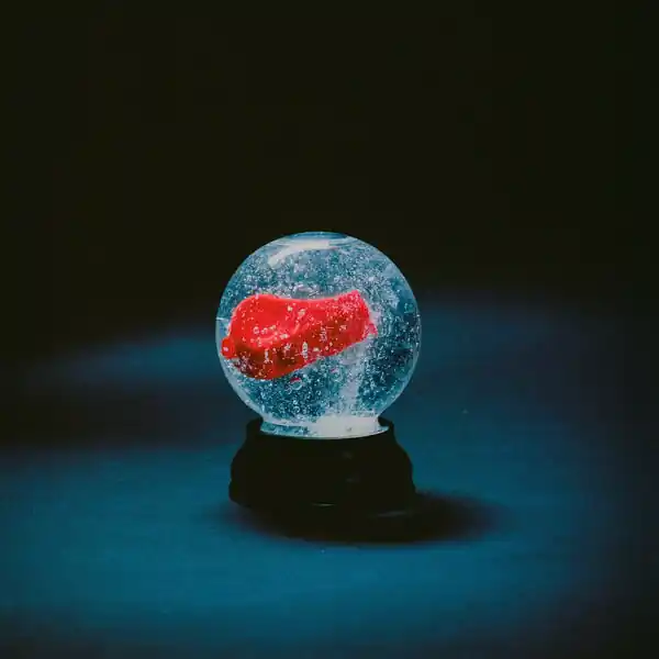 Best Price DARKSIDE - Nothing (LP, opaque red vinyl)