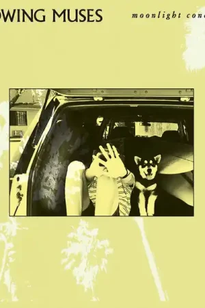 Buy Online Throwing Muses - Moonlight Concessions (LP, cream vinyl)