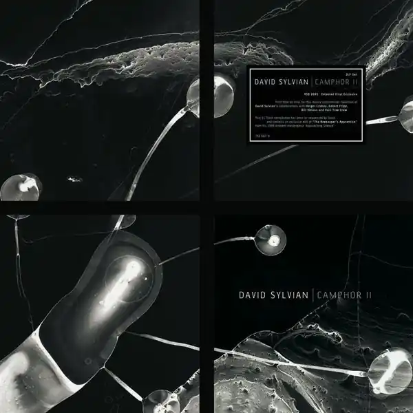 Direct From Factory SALE: David Sylvian - Camphor II (2xLP, white) was £36.99