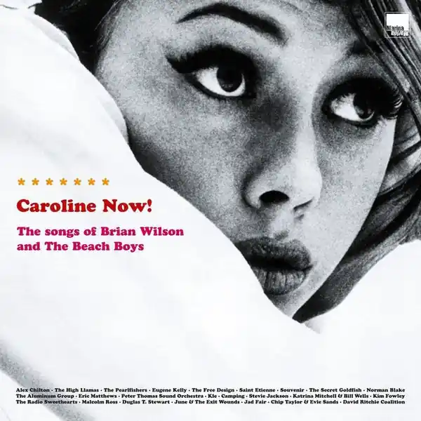 SALE: Various Artists - Caroline Now! The Songs Of Brian Wilson And The Beach Boys (2xLP) was £35.99 Hot Picks