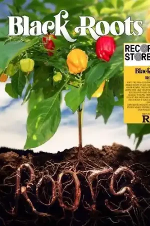 Hassle-Free Returns SALE: Black Roots - Roots The Vinyl Selection (LP) was £26.99