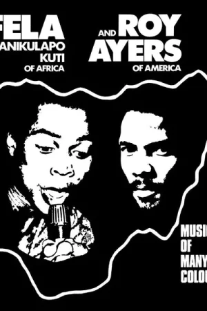 Modern Fela Anikulapo Kuti And Roy Ayers - Music Of Many Colours (LP)
