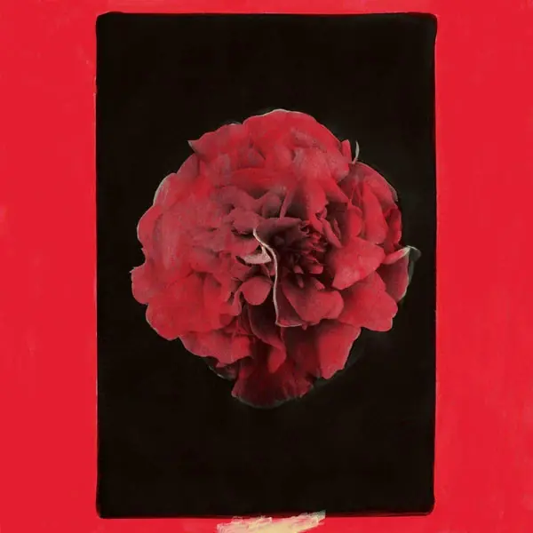 Activity - A Thousand Years in Another Way (LP) Same Day Shipping