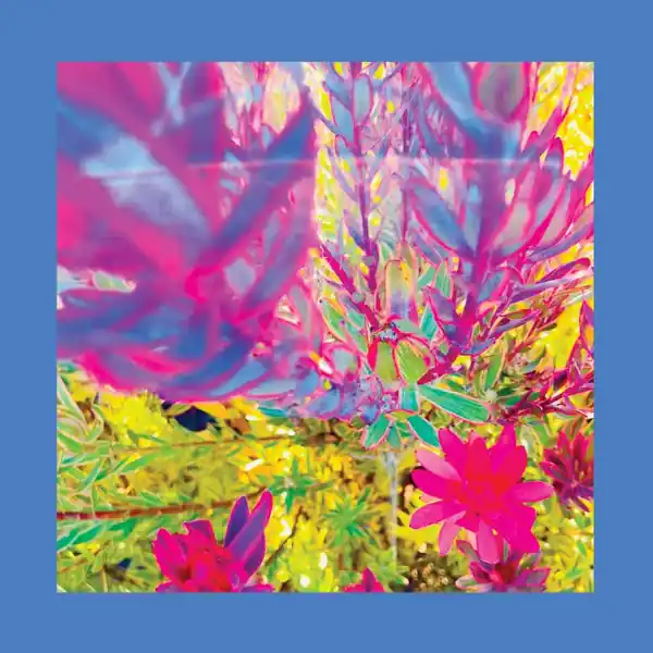 Buy Today The Reds, Pinks & Purples - The Past Is A Garden I Never Fed (LP, sky blue vinyl)