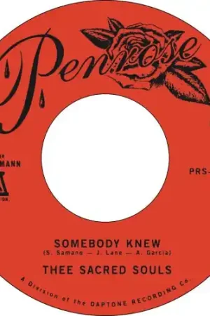 Limited Edition Thee Sacred Souls - We Don't Have To Be Alone (7")