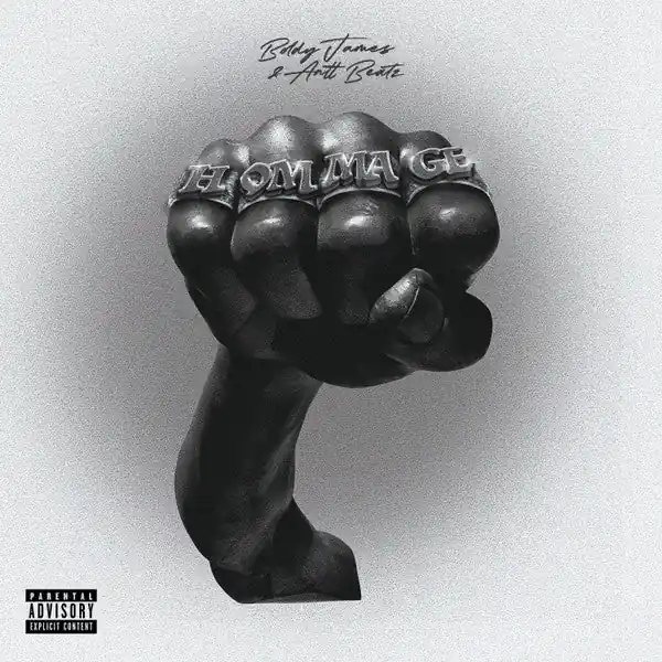 Boldy James & Antt Beatz - Hommage (LP) Popular