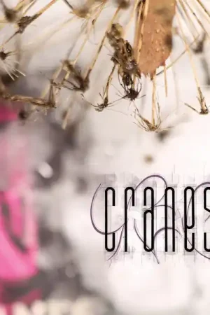 No Minimum Order Cranes - Fuse (LP, magenta vinyl)