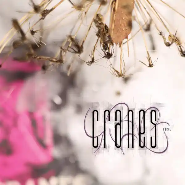 No Minimum Order Cranes - Fuse (LP, magenta vinyl)