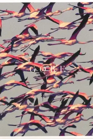 Buy Direct Deftones - Gore (CD)