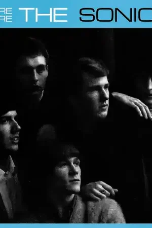 The Sonics - Here Are The Sonics!!! (LP) Certified