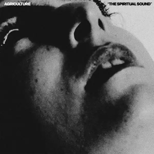 Agriculture - The Spiritual Sound (LP, lemon yellow vinyl) Premium