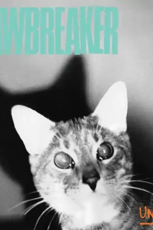 Jawbreaker - Unfun (LP) Buy Online