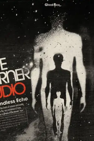 Buy Direct Pye Corner Audio - The Endless Echo (LP)