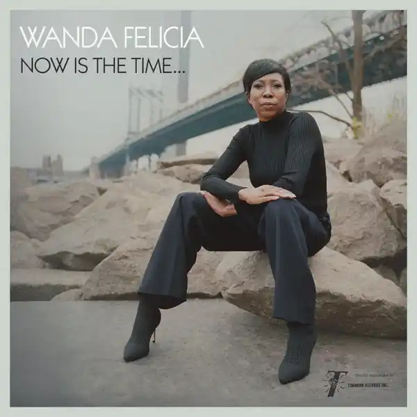 Bargain Wanda Felicia - Now Is The Time (LP, transparent pink vinyl)