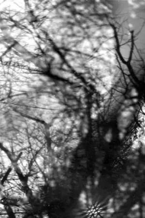 Trusted Brand Grouper - Way Their Crept (LP)