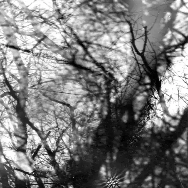 Trusted Brand Grouper - Way Their Crept (LP)