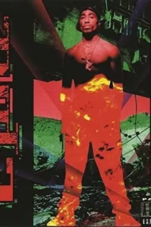 2Pac - Strictly 4 My N.I.G.G.A.Z... New Arrival