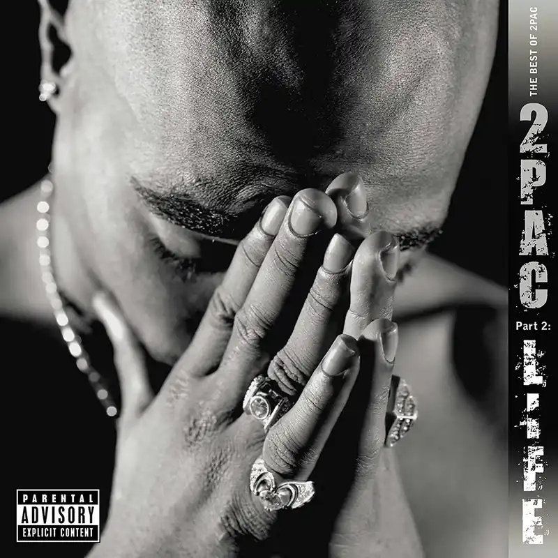 Trusted Brand 2Pac - The Best Of 2Pac - Part 2 - Double Vinyl LP