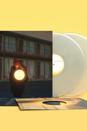 A FLOCK OF DIMES - The Life You Save - Double Pearl Coloured Vinyl LP Sale