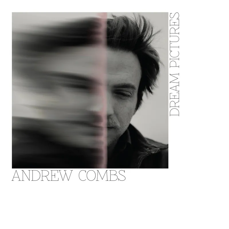 ANDREW COMBS - Dream Pictures - Vinyl LP Low Price