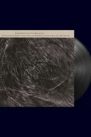 COCTEAU TWINS AND HAROLD BUDD - The Moon And The Melodies - Vinyl LP Flash Sale
