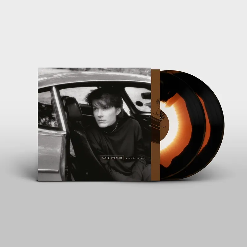 Best Choice DAVID SYLVIAN - Gone To Earth - Coloured Double Vinyl LP Reissue (small Seam split)