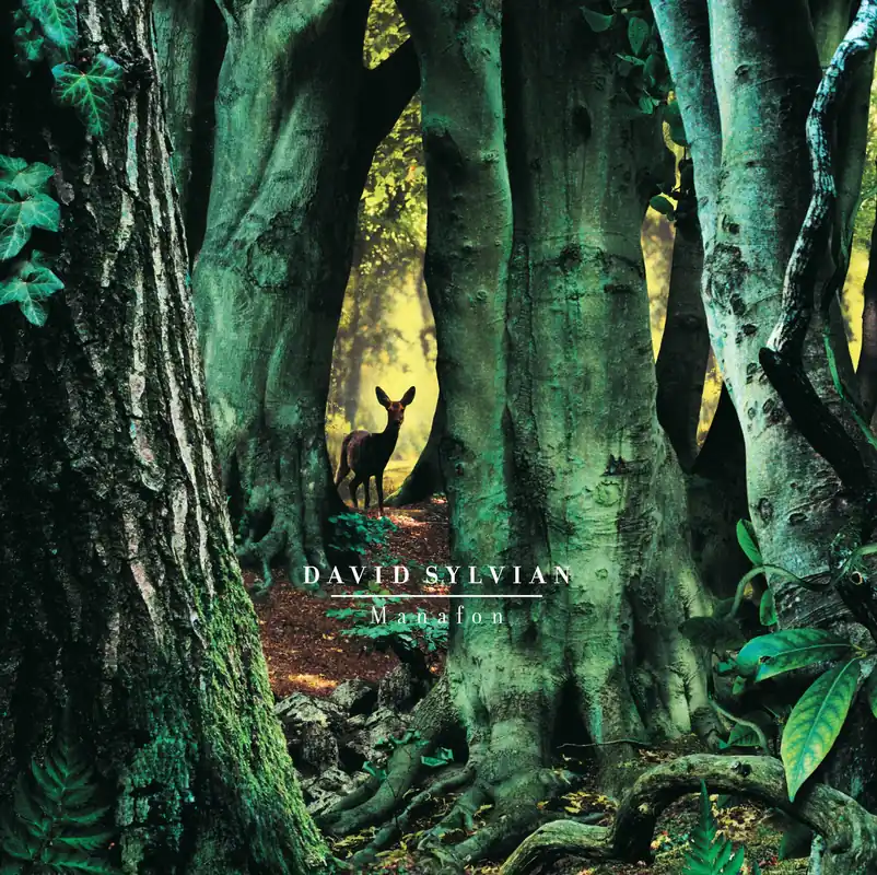 Premium DAVID SYLVIAN - Manafon - Double Vinyl LP 2022 Reissue