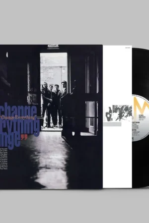 DEL AMITRI - Change Everything - Vinyl LP - 2024 Reissue Special Offer