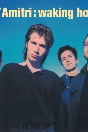 Buy Online DEL AMITRI - Waking Hours - Blue Vinyl LP 2024 Reissue